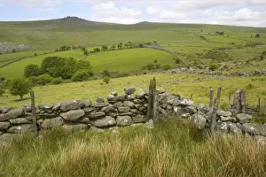 Great Staple Tor and Roos Tor Dartmoor National Park, Devon UK LA000119