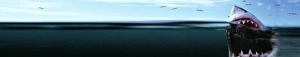 Images Dated 2nd December 2007: Great White Shark - Split level view, with mouth open