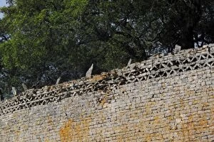 Images Dated 9th November 2009: Great Zimbabwe Wall - Great Zimbabwe