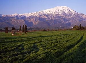 Images Dated 9th March 2007: Greece - mount Dirfas from the West Evvia, Greece