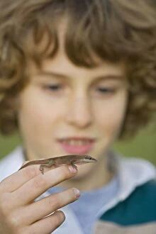 Images Dated 20th November 2006: Green Anole Lizard - 9 year old child holding