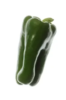Vegetable Prints: Green Pepper