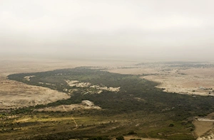 Green vegetation of the Swakop River seen from the air with heavy fog rolling in off Green vegetation of the Swakop River seen from the air with heavy fog rolling in off