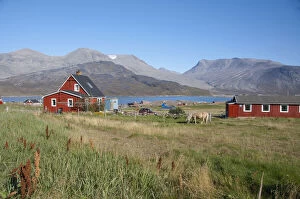 Greenland, Igaliku (aka Igaliko), Igaliku
