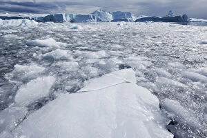 Stormy Gallery: Greenland, Ilulissat, Densely pack field