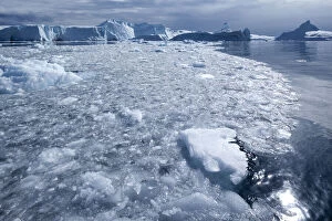 Greenland, Ilulissat, Field of brash ice