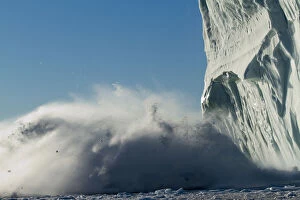 Iceberg Gallery: Greenland, Ilulissat, Slab of ice falls