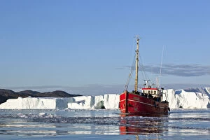Iceberg Gallery: Greenland, Ilulissat, Traditional fishing
