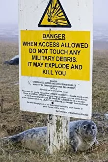 Images Dated 29th November 2008: Grey Seal - pup on RAF bombing range used as a pupping area for seals - by sign warning of danger
