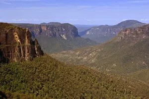 Images Dated 30th October 2008: Grose Valley - view from Govetts Leap Lookout towards the vast expanse of the forest-clad
