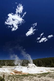 Images Dated 8th June 2013: Grotto Geyser Upper Geyser Basin, Yellowstone National
