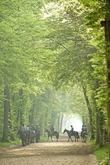 Images Dated 25th May 2007: Group of horses & riders - on bridle path in woods Group of horses & riders - on bridle path in