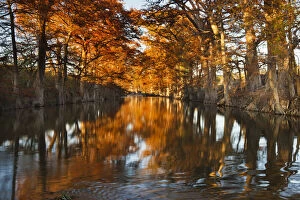 Guadalupe River, Texas hill country, autumn