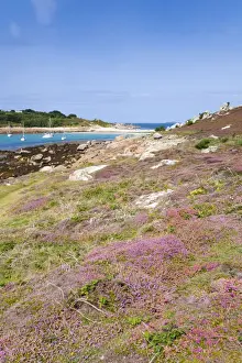 Gugh - St Agnes - Isles of Scilly - UK