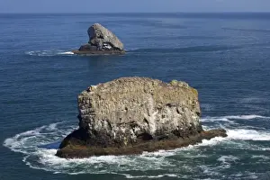 Communities Prints: Guillemot Covered Stacks Cape Mears Oregon, USA LA000915