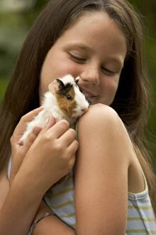 Images Dated 25th June 2005: Guinea Pig - being cuddled by young girl