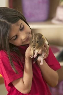 Images Dated 30th May 2004: Guinea Pig - being held by girl