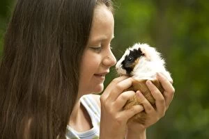 Images Dated 25th June 2005: Guinea Pig - being held by young girl