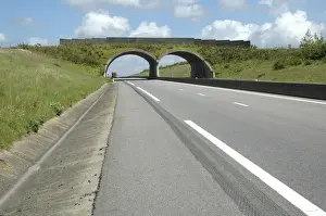 Roads Prints: Habitat Green Bridge on French autoroute (south of Calais) France