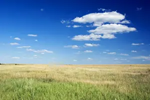 Habitat of Himalayan Marmot and Red-cheeked Souslik - steppe in late summer - South from Ural Mountain range - Orenburg region - South Russia - July - midday. Ku41. 2670