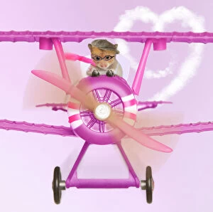 Images Dated 8th February 2010: Hamster - flying aeroplane Digital Manipulation: backround colour, plane brown to pink, heart cloud