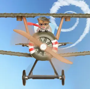 Vehicles Prints: Hamster - flying aeroplane Digital Manipulation: added wings