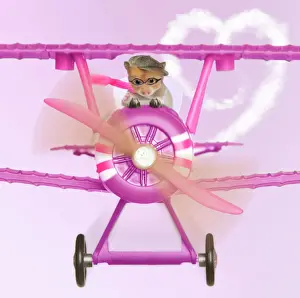 Transport Prints: Hamster - flying aeroplane Digital Manipulation: backround colour