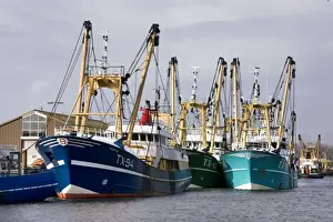 Commerical Prints: Harbour Oudeschild - Texel - island - Netherlands