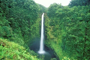 Colour Collection: Hawaii Akaka Falls, Big Island