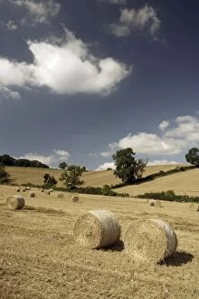 Images Dated 4th September 2007: Hay Bales - in farmers field
