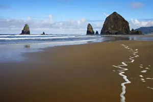 Sea Stacks Prints: Haystack Rock at low tide Cannon Beach, Oregon, USA LA000948