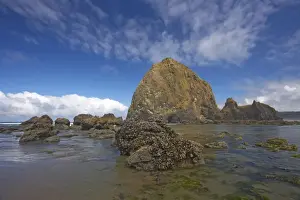 Haystack Rock at low tide Cannon Beach, Oregon, USA LA000955