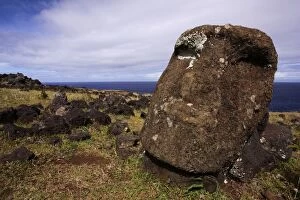 Head of fallen moai on Ahu Te Peu. Ahu is a ceremonial