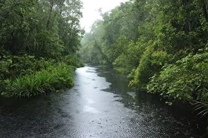 Images Dated 9th November 2008: Heavy rain - blackwater river on the way to Camp Leakey - Tanjung Puting National Park