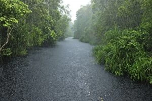 Images Dated 9th November 2008: Heavy rain - blackwater river on the way to Camp Leakey - Tanjung Puting National Park