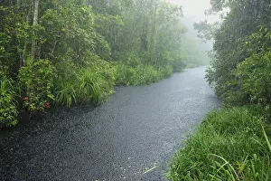 Heavy rain - blackwater river on the way to Camp Leakey - Tanjung Puting National Park - Kalimantan - Borneo - Indonesia