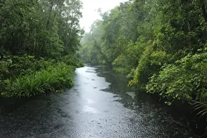 Heavy rain - blackwater river on the way to Camp Leakey - Tanjung Puting National Park - Kalimantan - Borneo - Indonesia