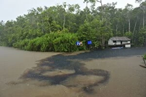 Images Dated 9th November 2008: heavy rain - Sekonyer river confluence with blackwater river - ranger station - Tanjung Puting