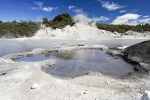 Hell's Gate / Tikitere Maori owned geothermal reserve - boiling mud pools and sulphur lake - North Island - New Zealand