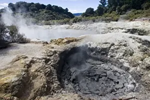 Hell's Gate / Tikitere Maori owned geothermal reserve - mud fumarole and sulphur lake - North Island - New Zealand