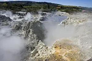 Hell's Gate / Tikitere Maori owned geothermal reserve - Rotorua - North Island - New Zealand
