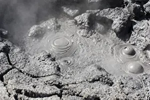 Hells Prints: Hell's Gate - Tikitere / Rotorua - boiling mud pools Maori owned geothermal reserve - North Island - New Zealand