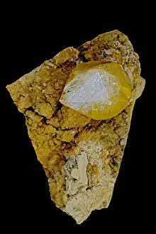 Crystal Prints: Herkimer Diamond (Quartz) - on matrix - New York - USA - Double terminated quartz crystals common in upstate New York
