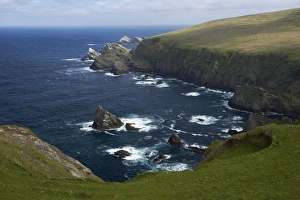 Shetland Island Collection: Hermaness Cliffs Unst, Shetland, UK LA003122