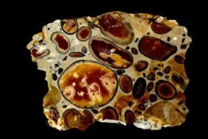 Can 200617 Gallery: hertfordshire puddingstone, conglomerate, flint clasts i