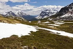 Banff National Park Gallery: High tundra below Helen Lake, in the Banff National Park