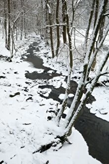 Hill stream in winter snow