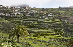 Canary Islands Prints: Hill Town of Chipude. La Gomera