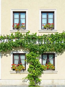Site Gallery: Historic village Unterloiben located in wine-growing