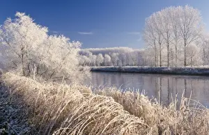 Hoar-frost - on river landscape